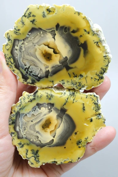 Sarı Dendritik Opal - Mavi Kalsedon ve Bal Opali Muhteşem Parlatılmış Çift | Fikir & Dengelendirme Taşı ürün görseli 1