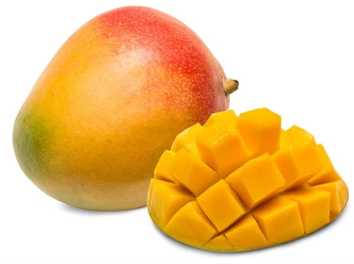 AŞISIZ MANGO FİDANI 2 YAŞ ürün görseli 1