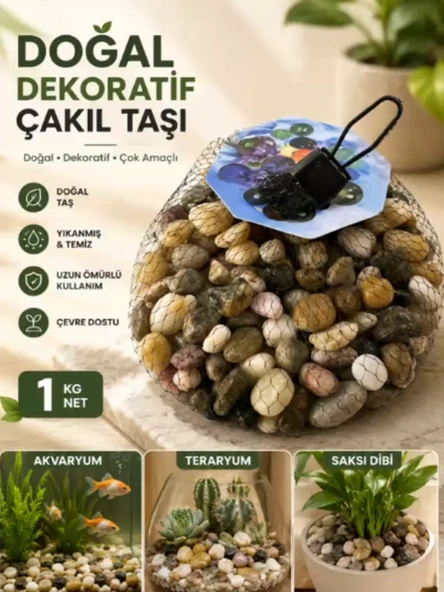 Mucit Home Kahve Doğal Taş Fanus Taşı Akvaryum Balık Taşı ürün görseli 1