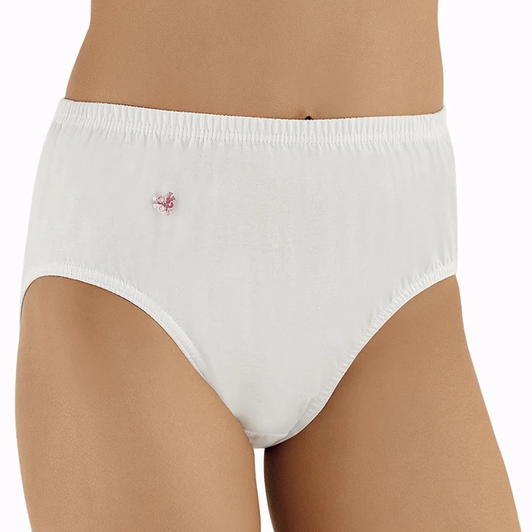 Şahinler MB018 Kadın Çiçekli Kom Külot No:60 (XXL) ürün görseli 1