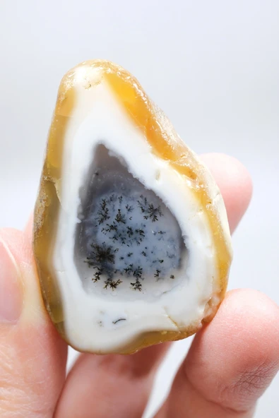 Dendritik Opal "Kış Ormanı" Dilimi - Cilalı Merlinite Portal - Mavi ve Beyaz Dendritik İçerik ürün görseli 1