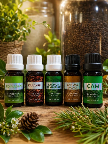 Esansiyel Uçucu Koku Yağı 5 x 10ml SET Buhurdanlık Yağı Difüzör Esansı Hobi Esans Ortam Oda Kokusu ürün görseli 1