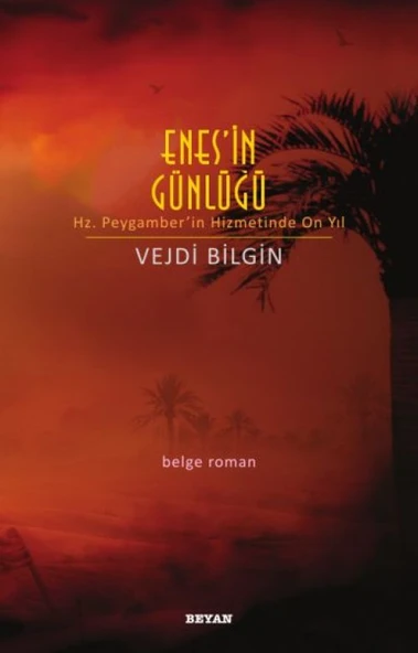 Enes'in Günlüğü ürün görseli 1