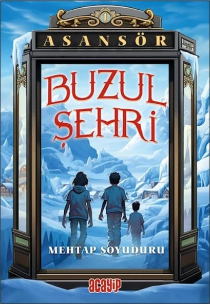 Asansör 1 Buzul Şehri ürün görseli 1