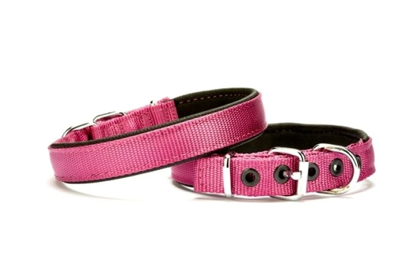 Softlu Köpek Boyun Tasması 2 cm x 40 cm Mor ürün görseli 1