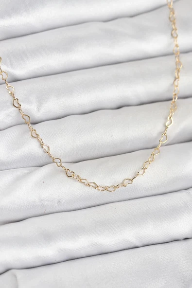 CM 14K Gold Renk Kalp Zincirli Kadın Kolye ürün görseli 1
