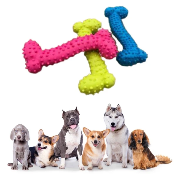 Tiny Kemik Oyuncağı Tırtıklı Yüzey Küçük Kemik Plastik Köpek Oyuncağı ürün görseli 1