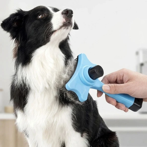 Evcil Hayvan Kedi Köpek Tüy Toplayıcı Otomatik Tuşlu Pet Tarak ürün görseli 1