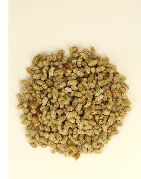 Mey İthalat® Dut Kurusu 1000 Gr (1 Kg) - Resim 2