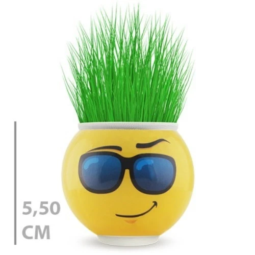 Mey İthalat® Çim Adam Saksı Emoji Figürlü 1 Adet ürün görseli 1