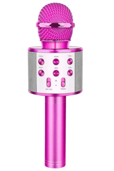 VOLNİX Karaoke Mikrofon Bluetooth Aux Usb Sd Kart Girişli (WS-858) Pembe ürün görseli 1