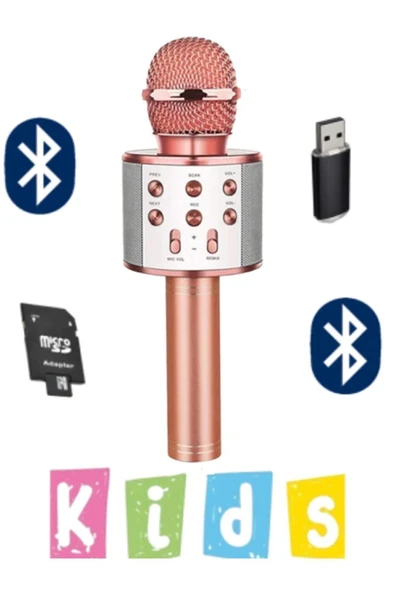 10numara Karaoke Mikrofon Dahili Hoparlörlü Usb Flash Tf Kart Destekli Ses Değiştirme Efektli Çocuk Mikrofonu ROZE GOLD ürün görseli 1