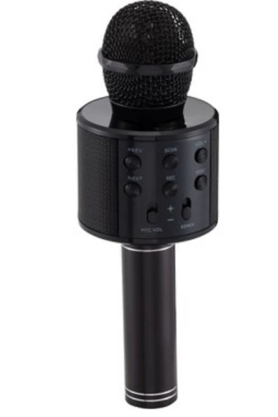 regnum Monadm Kablosuz Karaoke Mikrafon Bluetooth Mp3 Çalar Sd-usb-aux Girişli KOYU-SİYAH ürün görseli 1