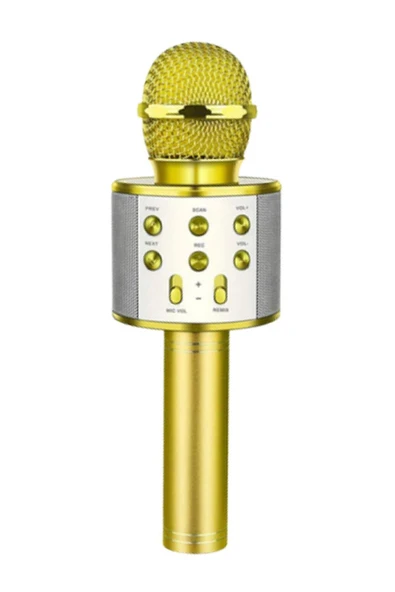regnum Monadm Kablosuz Karaoke Mikrafon Bluetooth Mp3 Çalar Sd-usb-aux Girişli GOLD ürün görseli 1
