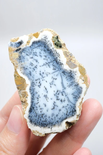 Mavi Dendrit Opal Çifti • Beyaz İçeriğe Sahip Opal - Resim 4