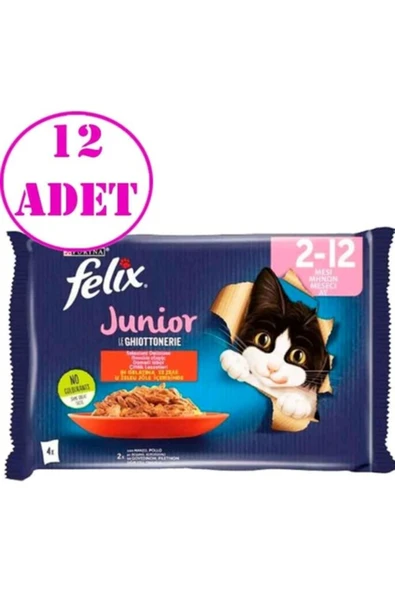 Felix Kedi Maması Sığır Etli ve Tavuklu Yavru Ekonomik Paket (4x85gr) X 12 Adet ürün görseli 1