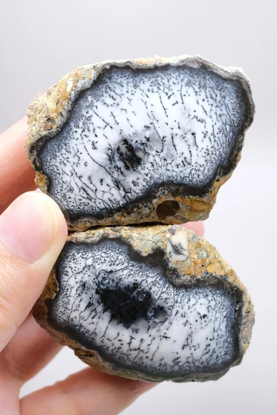 Mistik Bölünme: Dendritik Opal ve Dendritik Agat - Merlinite Harikaları! ürün görseli 1