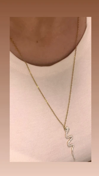 ÇELİK KOLYE ZİRKON TAŞLI YILAN FİGÜRLÜ ÇELİK KOLYE 60 CM ürün görseli 1