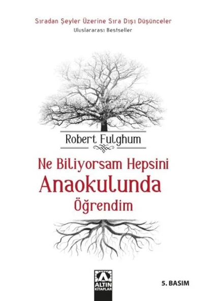 Ne Biliyorsam Hepsini Anaokulunda Öğrendim ürün görseli 1