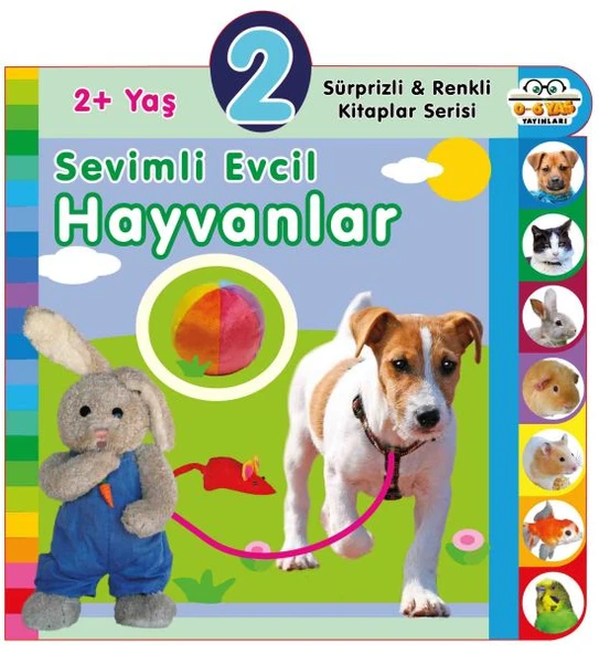 Yaş Sevimli Evcil Hayvanlar (2+Yaş) ürün görseli 1