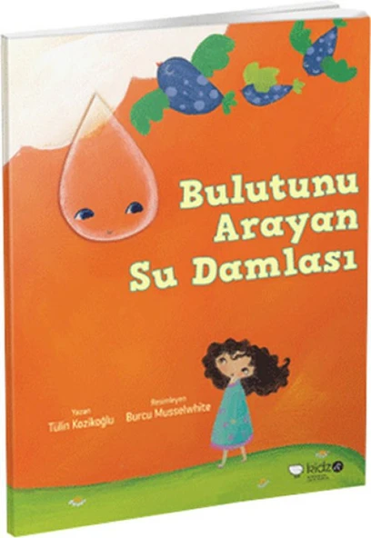 Meraklı Gezginler-Bulutunu Arayan Su Damlası ürün görseli 1