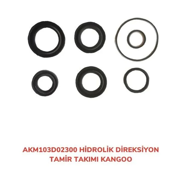 DİREKSİYON TAMİR TAKIM KANGOO HİDROLİK KANGOO ürün görseli 1