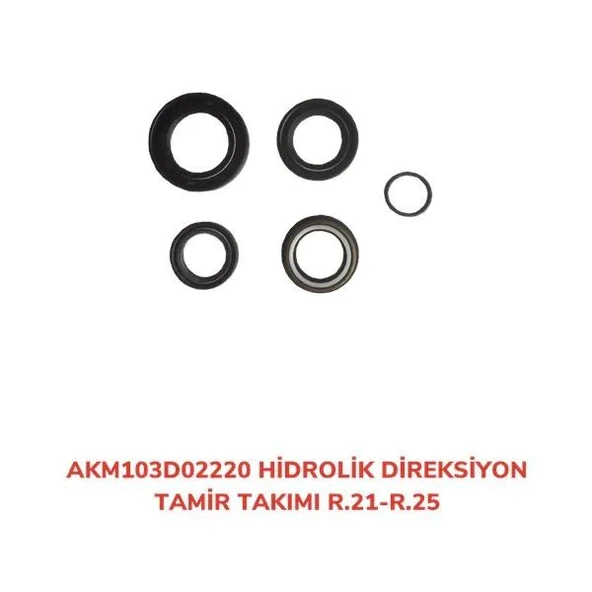 DİREKSİYON TAMİR TAKIM HİDROLİK R.21-R.25 R.21-R.2 5 ürün görseli 1