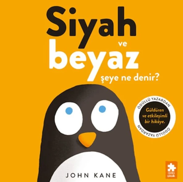Siyah ve Beyaz Şeye Ne Denir? ürün görseli 1
