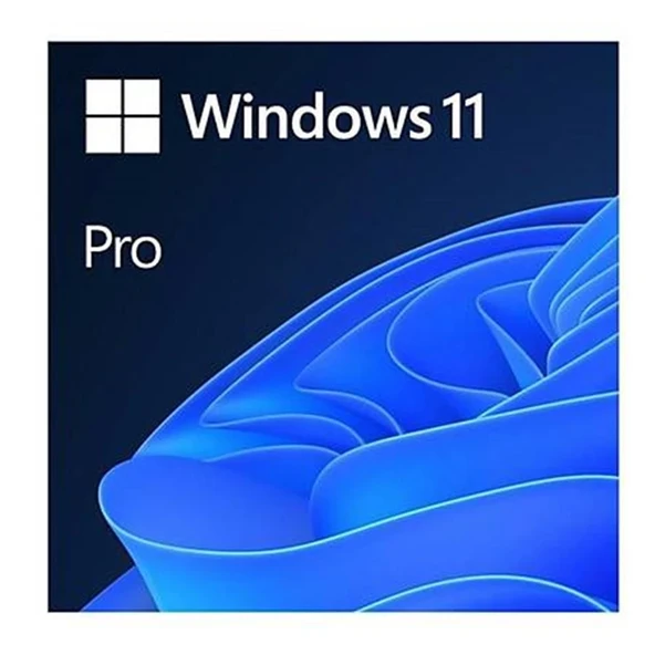 Microsoft Windows 11 Pro 64Bit Türkçe Kutu HAV-00159 Kutulu İşletim Sistemi ürün görseli 1