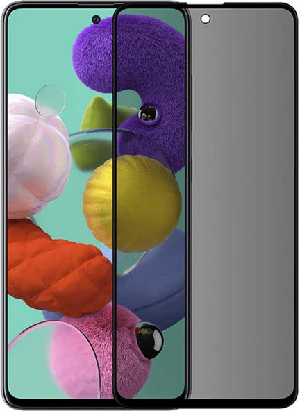 Galaxy S22 Plus Hayalet Mnc Ekran Koruyucu Uyumlu Davin Privacy Seramik Mnc Ekran Filmi ürün görseli 1
