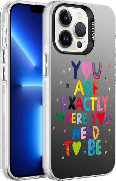 Apple iPhone 13 Pro Kılıf Desenli Mnc Silver Sert Kapak-You ürün görseli 1