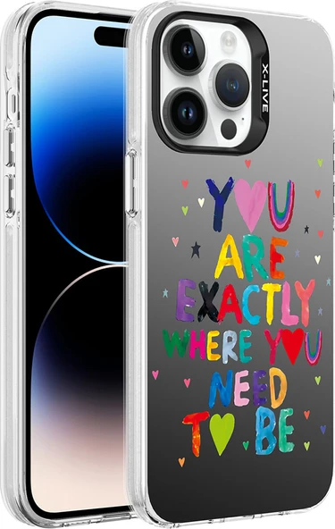 Apple iPhone 14 Pro Max Kılıf Desenli Mnc Silver Sert Kapak-You ürün görseli 1