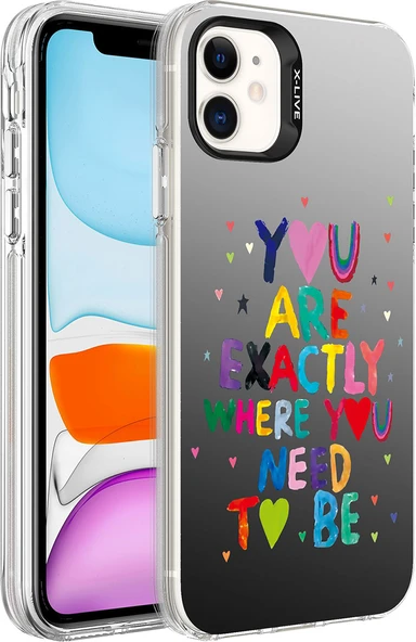 Apple iPhone 11 Kılıf Desenli Mnc Silver Sert Kapak-You ürün görseli 1