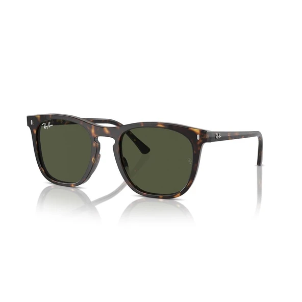 RAY-BAN 0RB2210 902-31 53 ürün görseli 1