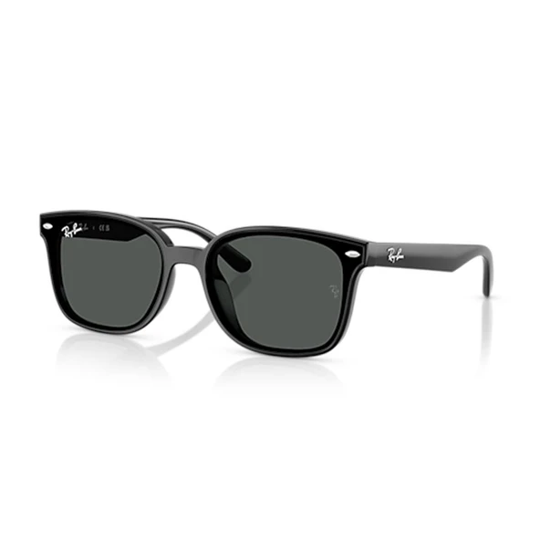 RAY-BAN 0RB4461D 601-87 64 ürün görseli 1