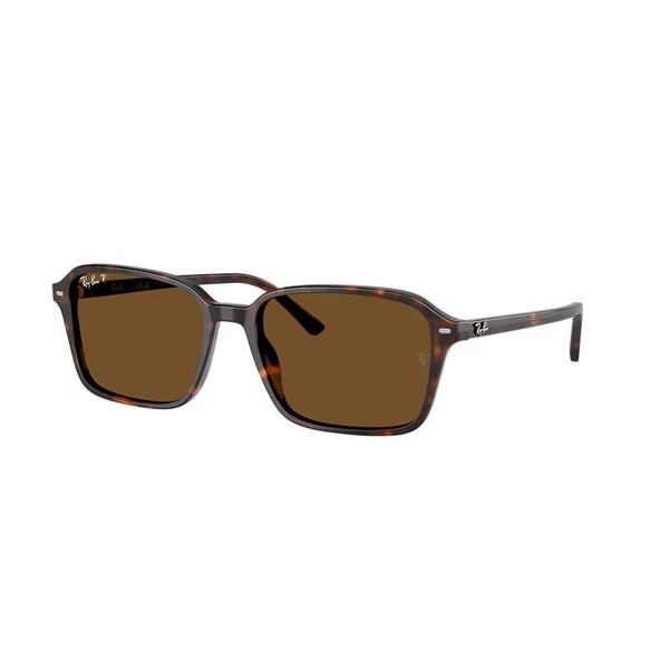 RAY-BAN 0RB2231 902-57 58 ürün görseli 1
