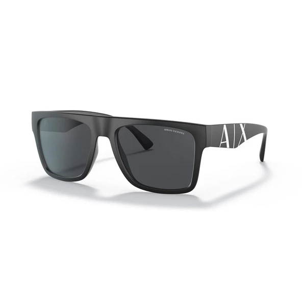 ARMANI EXCHANGE 0AX4113S 807887 55 ürün görseli 1