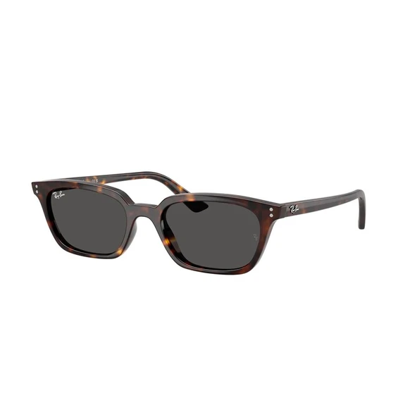 RAY-BAN 0RB4456 135987 53 ürün görseli 1