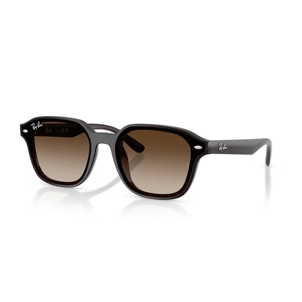 RAY-BAN 0RB4458D 714-13 65 ürün görseli 1