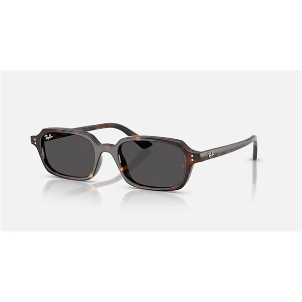 RAY-BAN 0RB4455 135987 52 ürün görseli 1