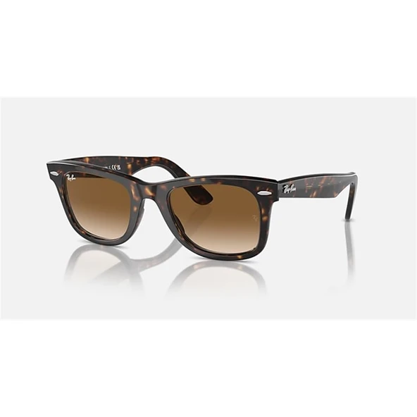 RAY-BAN 0RB2140 902-51 50 ürün görseli 1