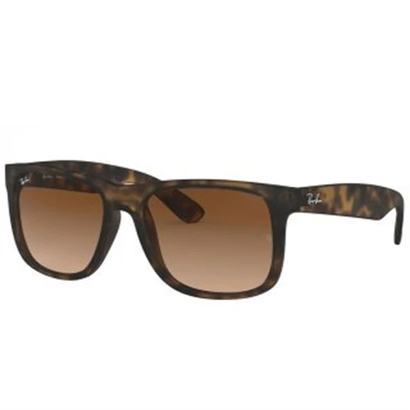 RAY-BAN 0RB4165 710-13 55 ürün görseli 1