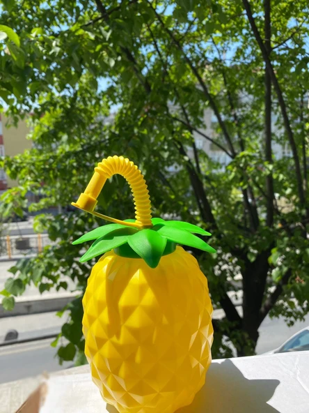 Ananas Pipetli Suluk - Resim 2