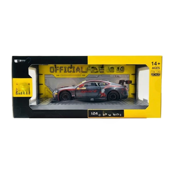 1/24 GT3 Silver Grey Model Araba ürün görseli 1