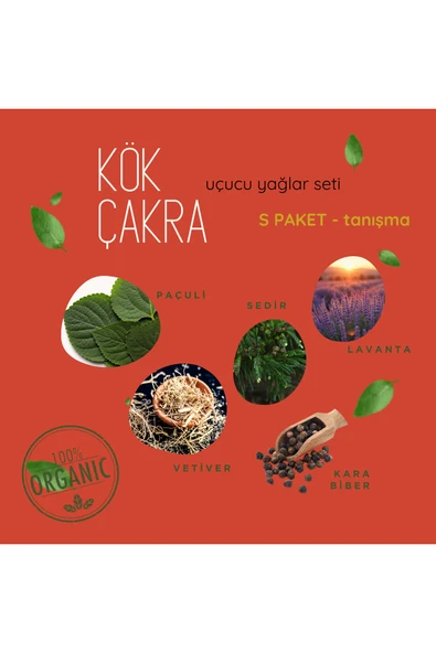 Kök Çakra Tanışma Seti – Aromatik Uçucu Yağlar (5’li) Paçuli – Sedir – Vetiver – Karabiber – Lavanta ürün görseli 1
