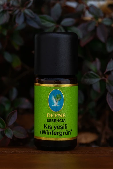 Kış Yeşili* Organik (Wintergrün) %100 Saf Uçucu Yağ 5ml ürün görseli 1