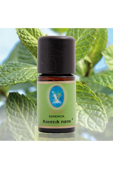 Kıvırcık Nane* Organik %100 Saf Uçucu Yağ 5ml ürün görseli 1