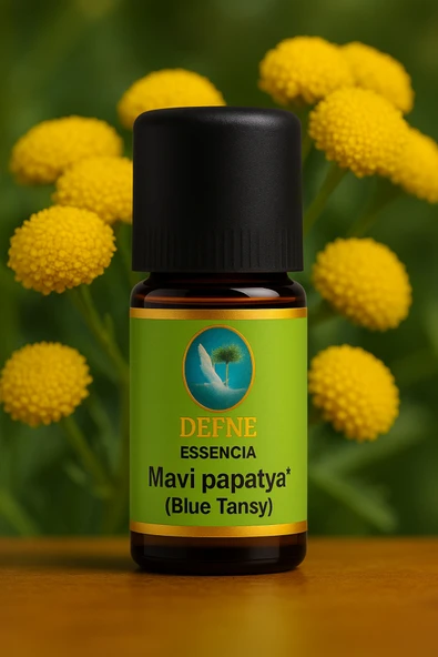 Mavi Papatya (Blue Tansy) Geleneksel %100 Saf Uçucu Yağ 5ml ürün görseli 1