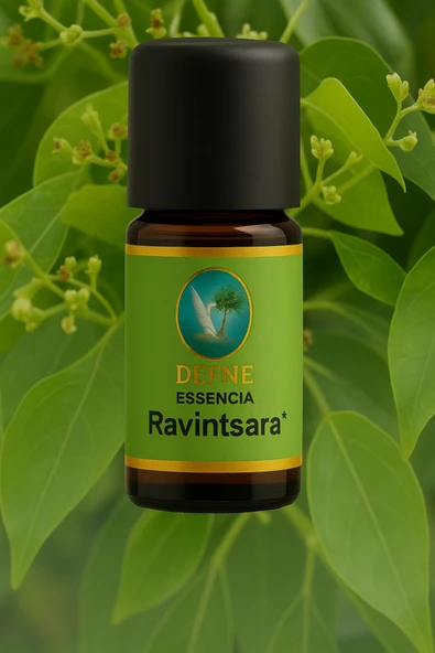 Ravintsara* Organik %100 Saf Uçucu Yağ 10ml ürün görseli 1