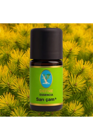 Sarı Çam* Organik %100 Saf Uçucu Yağ 5ml ürün görseli 1